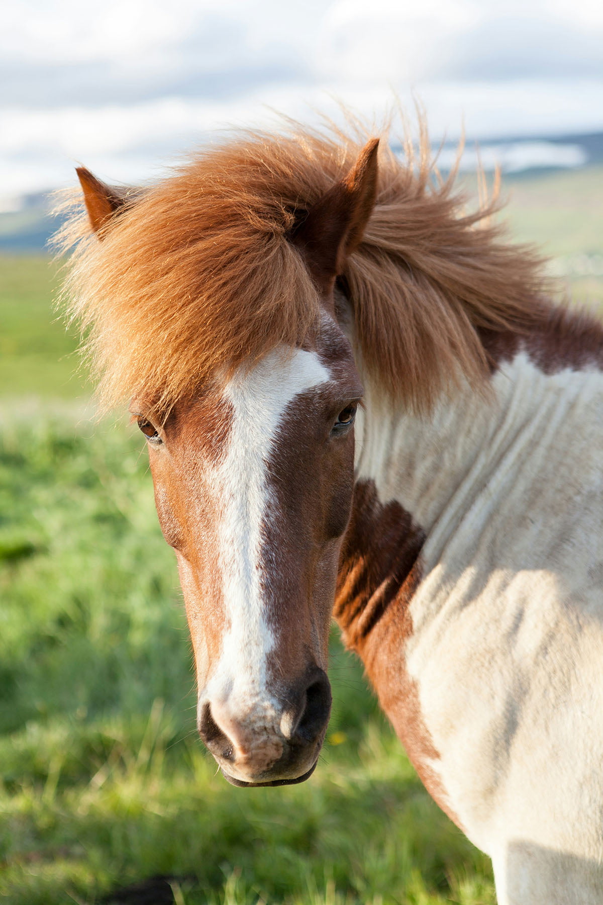 K3 Horse Retreat